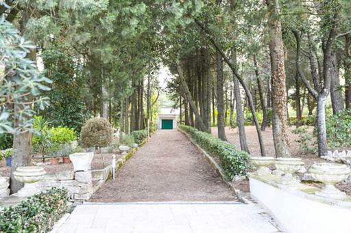 מרטינה פרנקה Trullo Villa Giulia מראה חיצוני תמונה